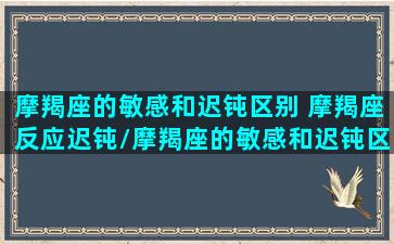 摩羯座的敏感和迟钝区别 摩羯座反应迟钝/摩羯座的敏感和迟钝区别 摩羯座反应迟钝-我的网站